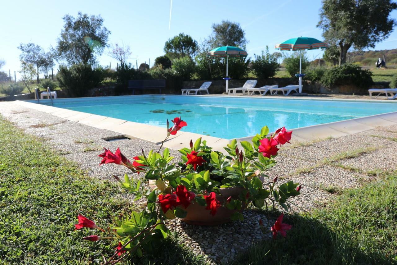 Agriturismo Tinti Montiano  Exterior foto